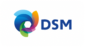DSM